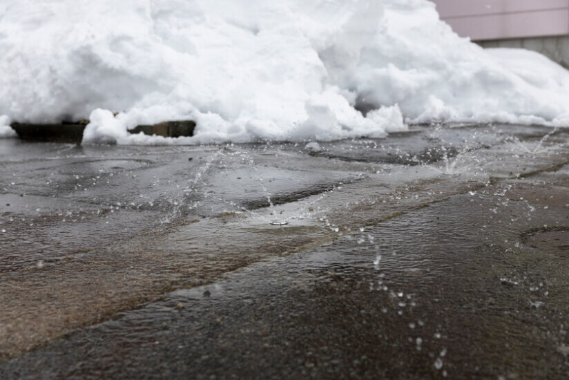 img_snow_business@2x